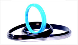 Wiper Seals